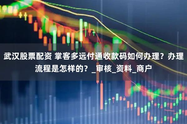 武汉股票配资 掌客多远付通收款码如何办理？办理流程是怎样的？_审核_资料_商户