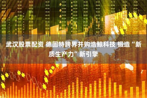 武汉股票配资 德固特跨界并购浩鲸科技 锻造“新质生产力”新引擎