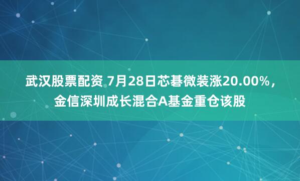 武汉股票配资 7月28日芯碁微装涨20.00%，金信深圳成长混合A基金重仓该股