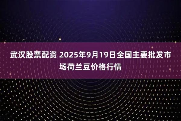 武汉股票配资 2025年9月19日全国主要批发市场荷兰豆价格行情
