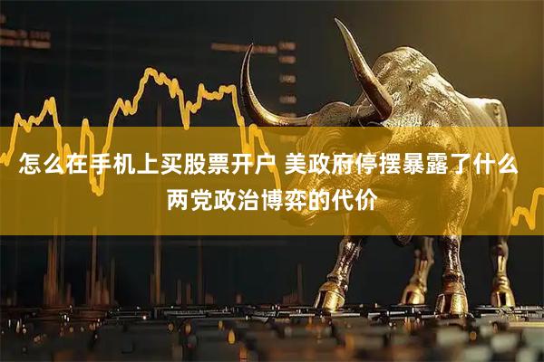 怎么在手机上买股票开户 美政府停摆暴露了什么 两党政治博弈的代价